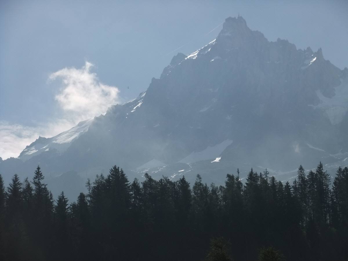 心を通わせる言葉